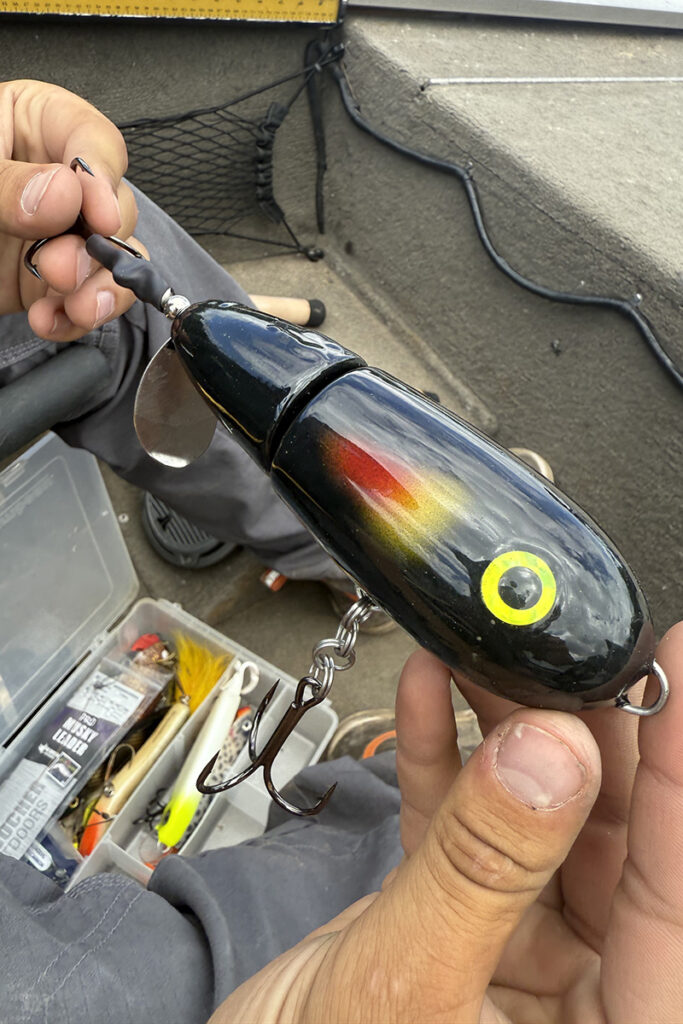 Close up of Small Dog in Midnight Run color